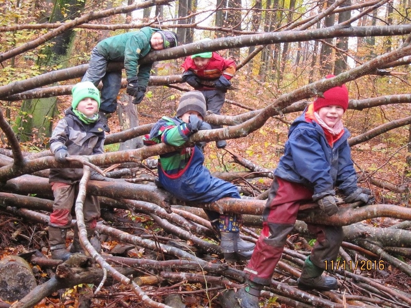 Waldkinder Spielende Kinder im Gehölz