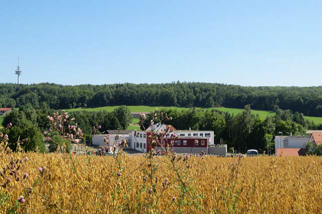 Blick auf das Gewerbegebiet Bonholz