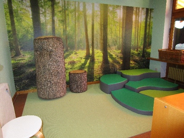 Raum mit großem Waldposter, Matten und zwei Baumstämmen