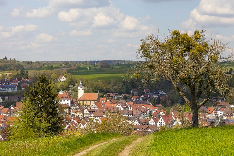 Stadtansicht Stadtansicht