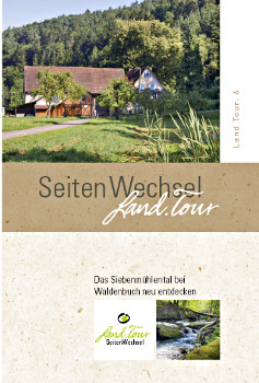 Flyer Flyer