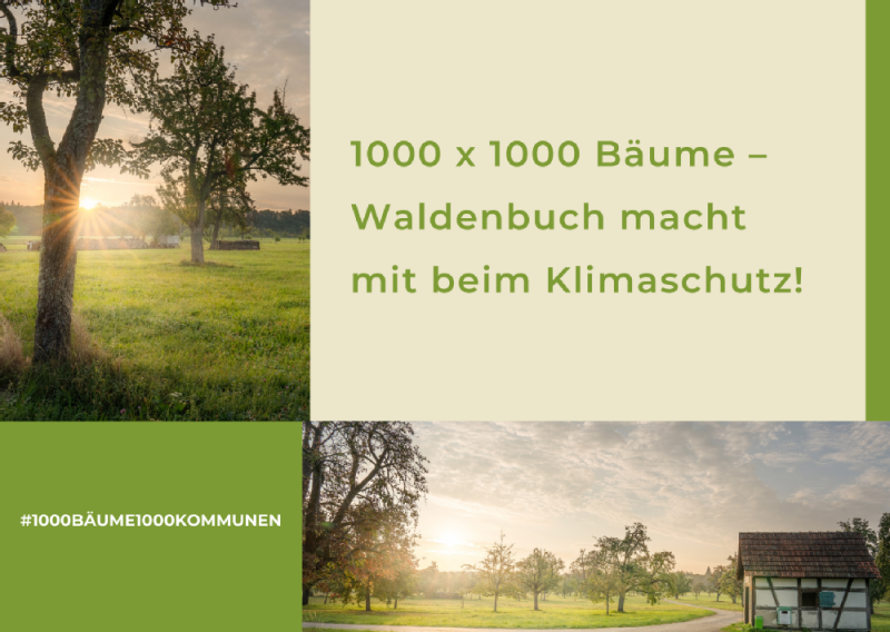 Plakat mit Obstwiesen-Fotos bei Sonnenaufgang und dem Slogan: „1000 x 1000 Bäume – Waldenbuch macht mit beim Klimaschutz!“ Unten links steht: #1000BÄUME1000KOMMUNEN.